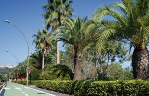 OTTENUTO FINANZIAMENTO PER REALIZZARE UNA BRETELLA CHE COLLEGHERA’ LA VIA VERDE ALLA PISTA CICLABILE DI VASTO MARINA